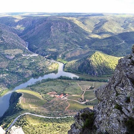 Freixo de Espada à Cinta Moradias Do Douro Internacionalヴィラ エクステリア 写真