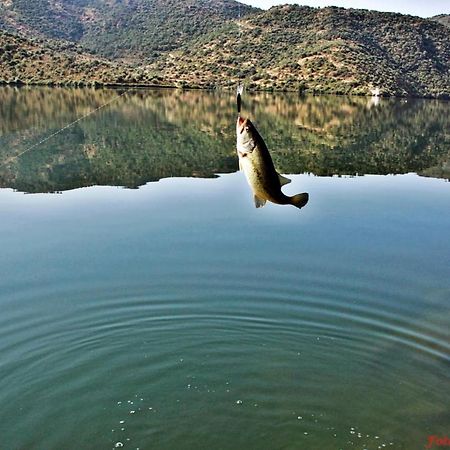 Freixo de Espada à Cinta Moradias Do Douro Internacionalヴィラ エクステリア 写真