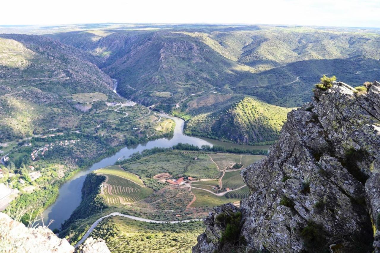 Freixo de Espada à Cinta Moradias Do Douro Internacionalヴィラ エクステリア 写真