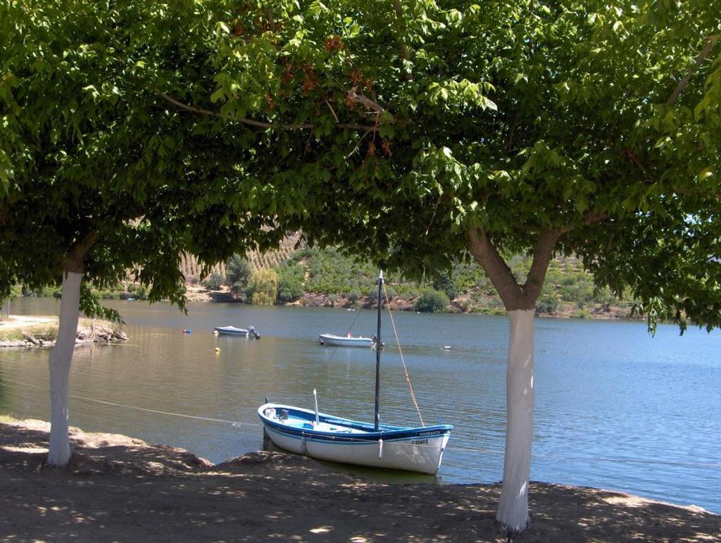 Freixo de Espada à Cinta Moradias Do Douro Internacionalヴィラ エクステリア 写真