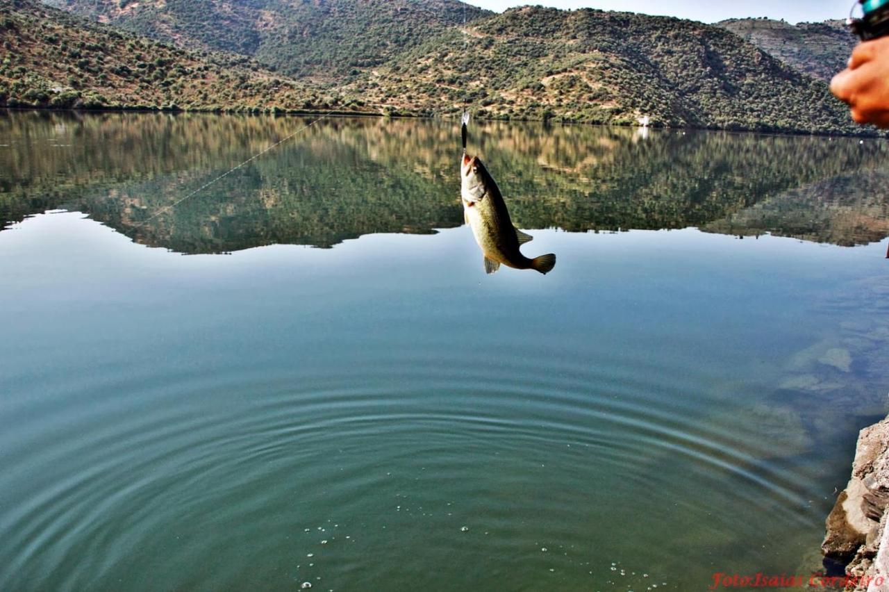 Freixo de Espada à Cinta Moradias Do Douro Internacionalヴィラ エクステリア 写真