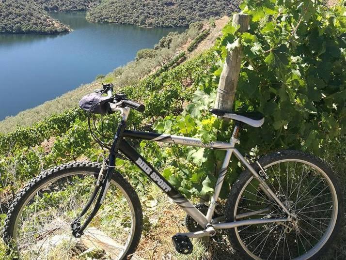 Freixo de Espada à Cinta Moradias Do Douro Internacionalヴィラ エクステリア 写真