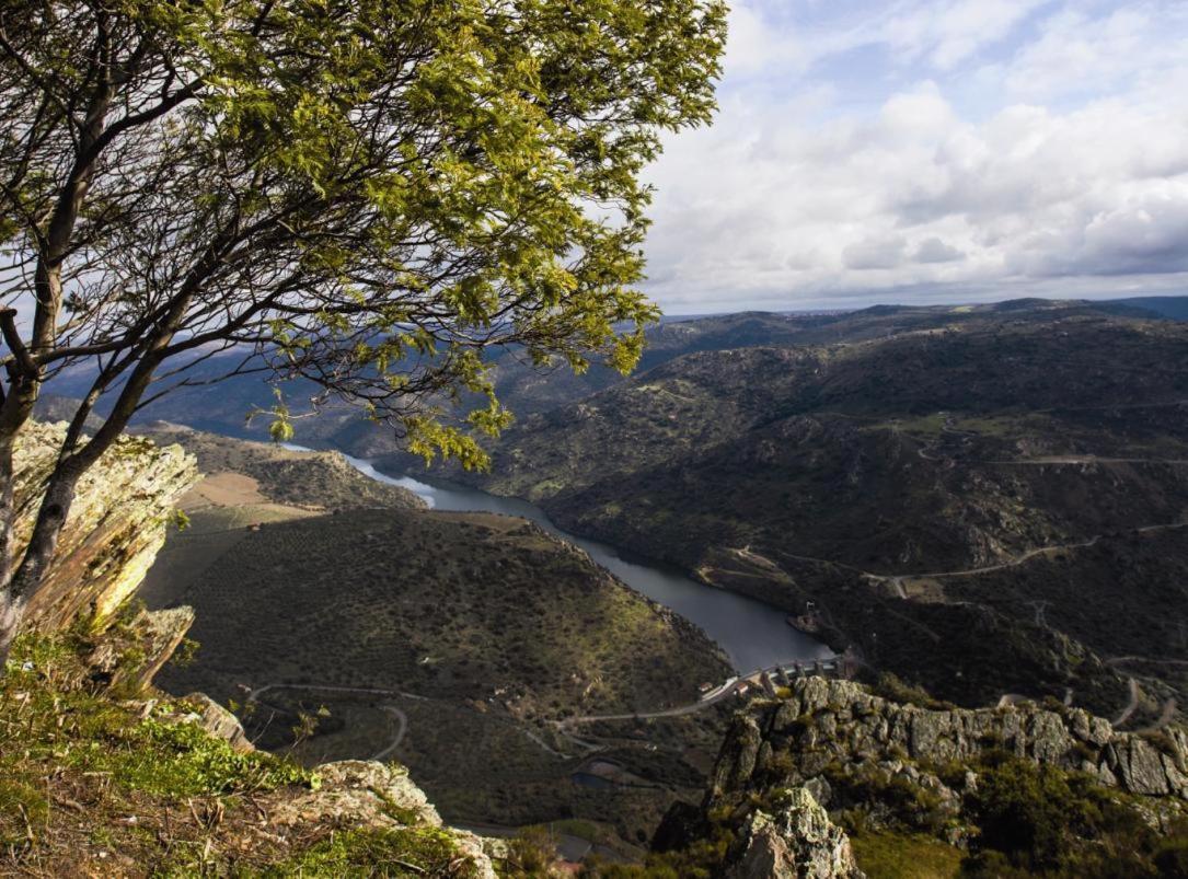 Freixo de Espada à Cinta Moradias Do Douro Internacionalヴィラ エクステリア 写真