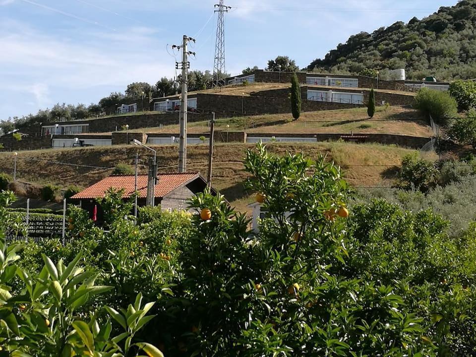 Freixo de Espada à Cinta Moradias Do Douro Internacionalヴィラ エクステリア 写真