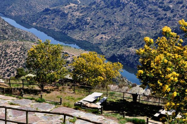 Freixo de Espada à Cinta Moradias Do Douro Internacionalヴィラ エクステリア 写真