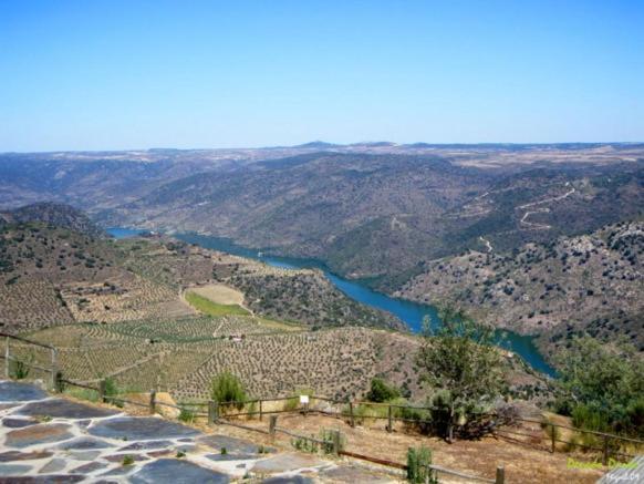 Freixo de Espada à Cinta Moradias Do Douro Internacionalヴィラ エクステリア 写真